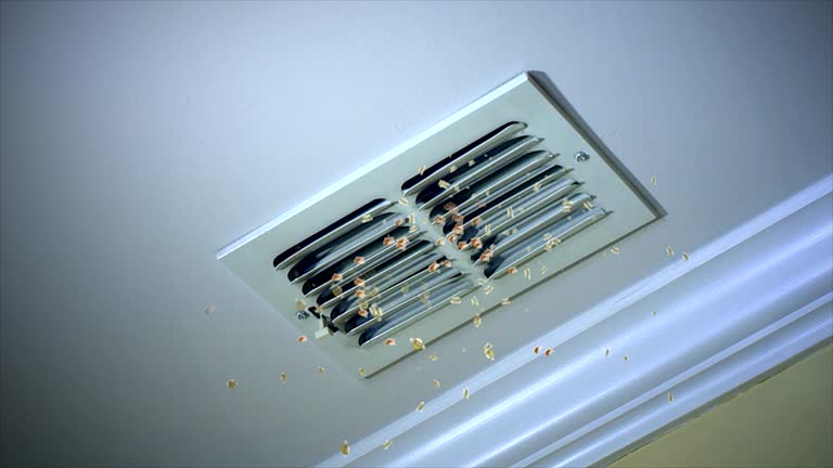 Best Ventilation Cleaning Services  in Plattsmouth, NE